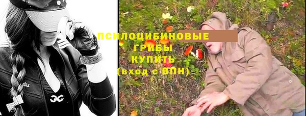 прущий лед Лиски