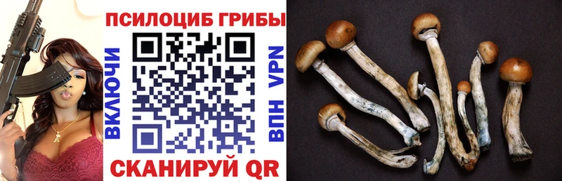 Галлюциногенные грибы мухоморы  Пойковский 